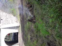 IMG-20210902-WA0002